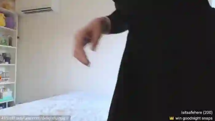 DelightfulHug