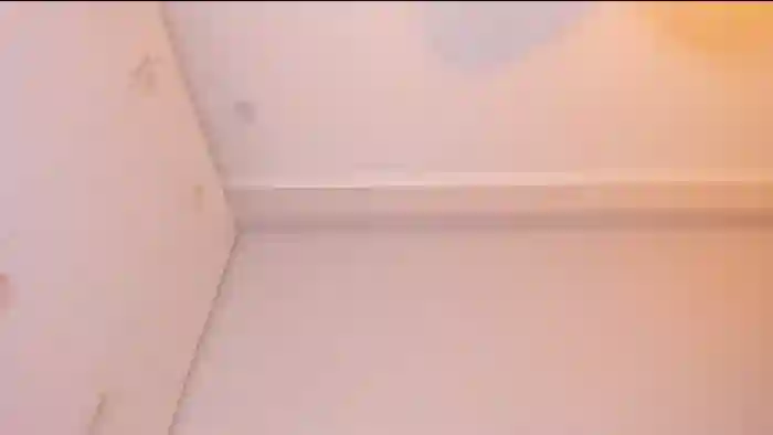 Didi_kawaii