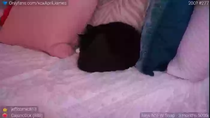 AprilJames