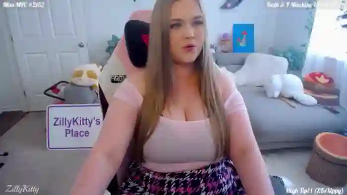 ZillyKitty