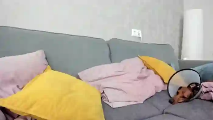 WhyNotIfYes