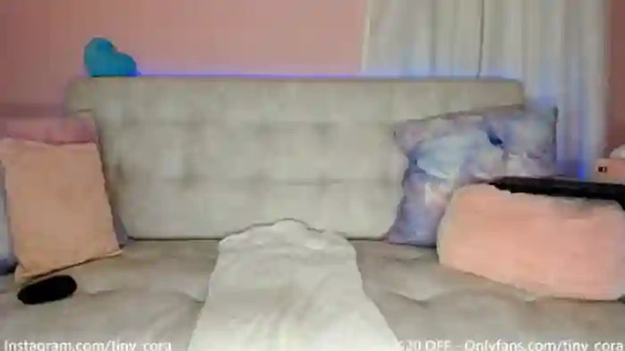 Tiny_Cora