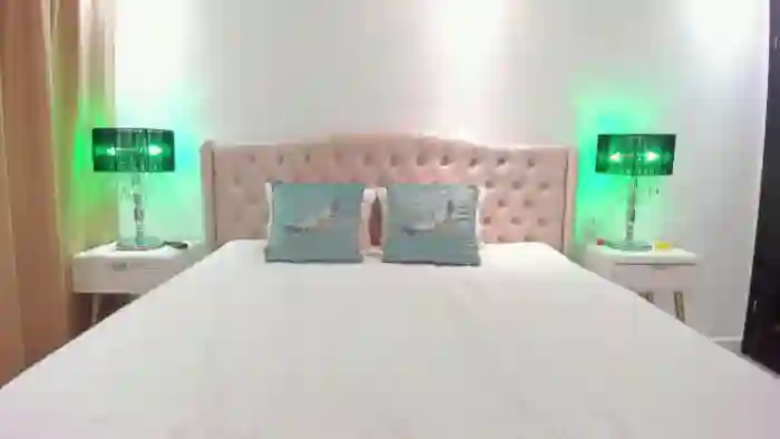 SassyR