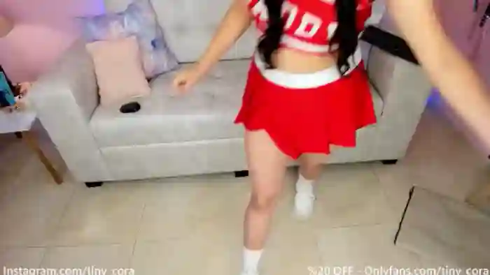 Tiny_Cora