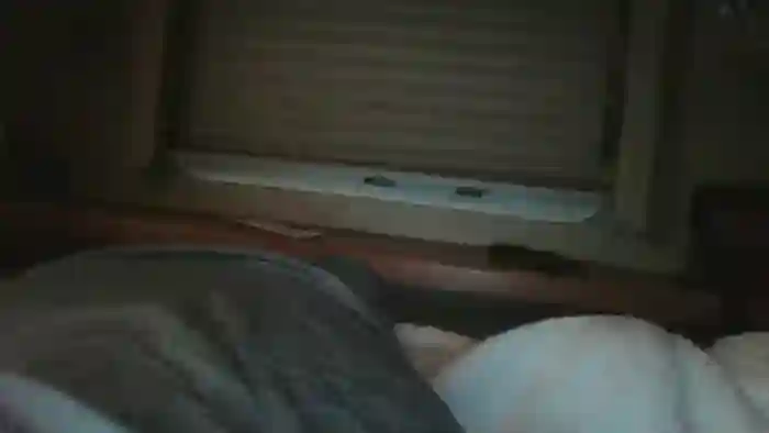 exoticlulu