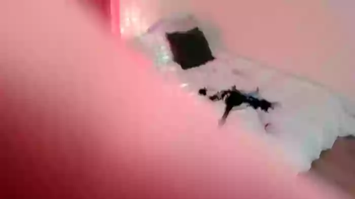 SnugglePunk