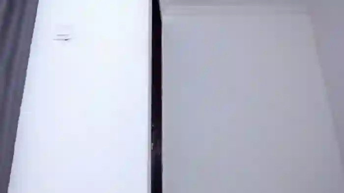 Avrora_lew_