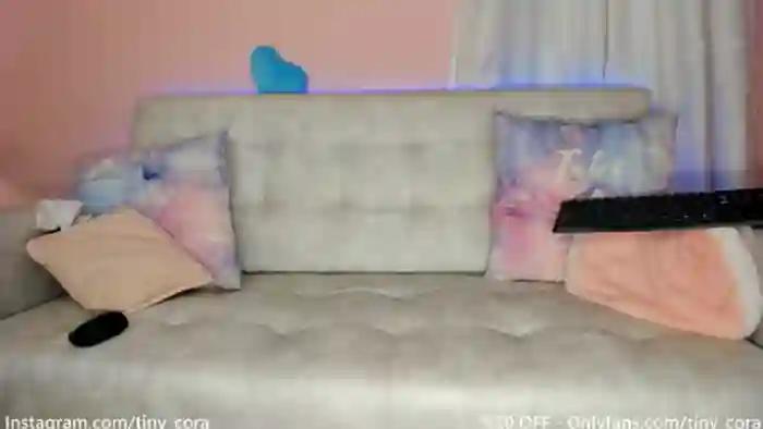 Tiny_Cora
