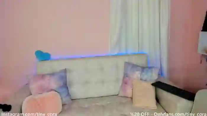 Tiny_Cora