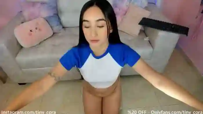 Tiny_Cora