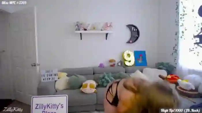 ZillyKitty