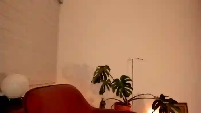 Lindsoft