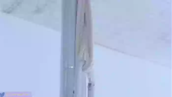 HairySafaeri