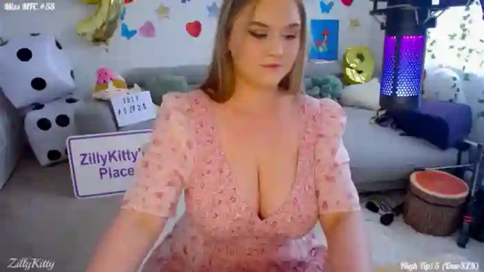 ZillyKitty