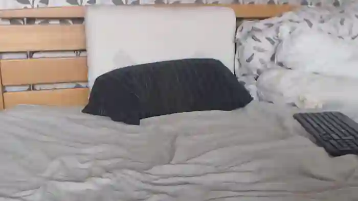 Kelywild