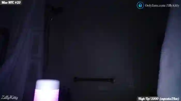 ZillyKitty