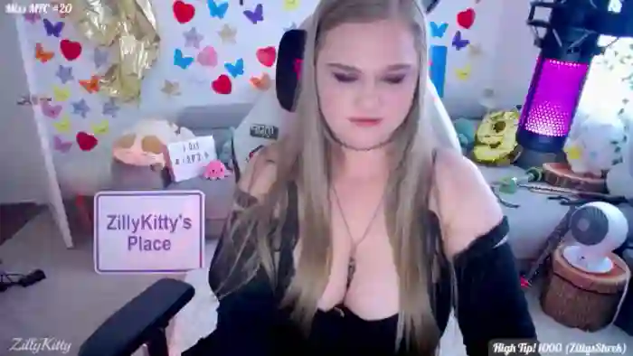 ZillyKitty