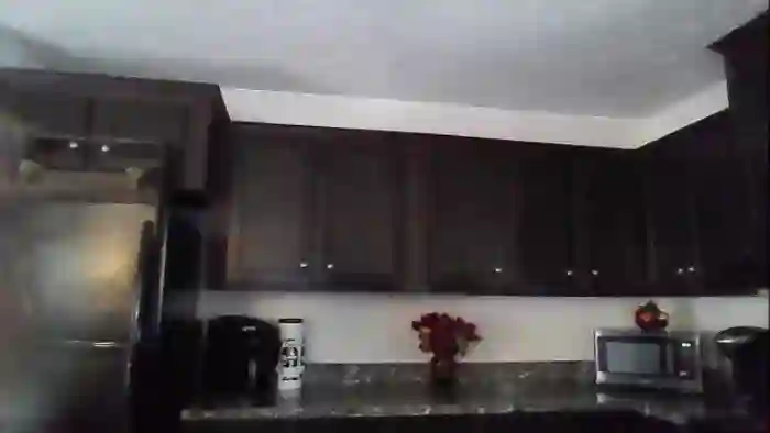 DaniBrasshole