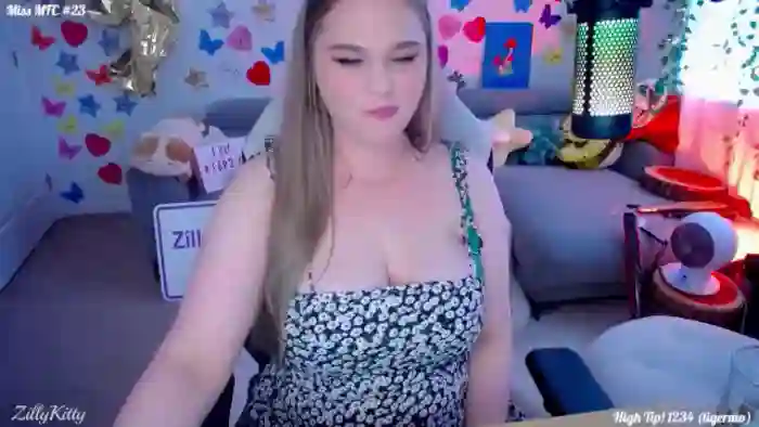 ZillyKitty