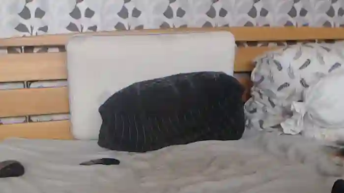 Kelywild