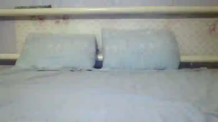 Stepfania