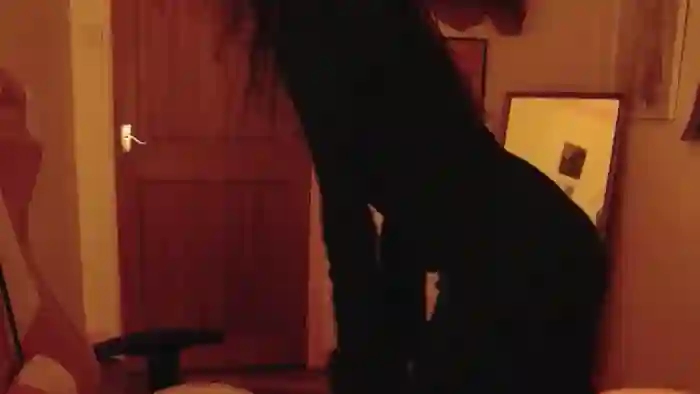 Viola__