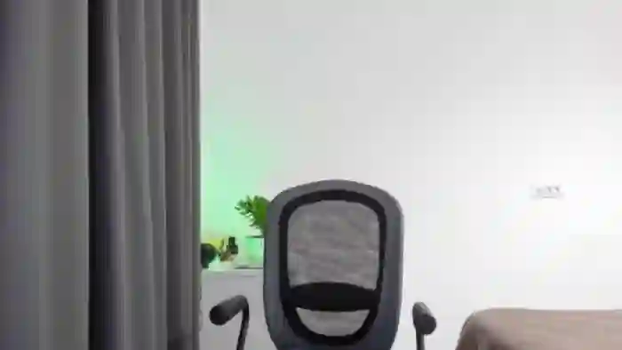Cyber_Geisha