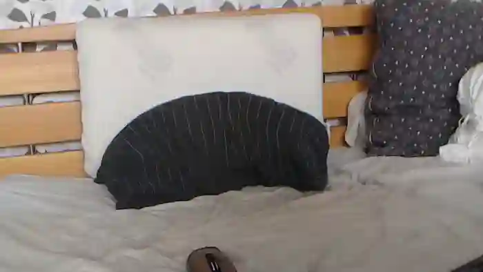 Kelywild
