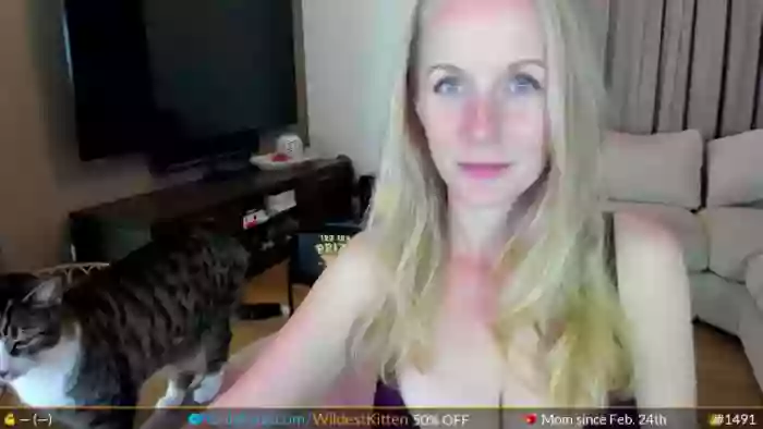 WildestKitten