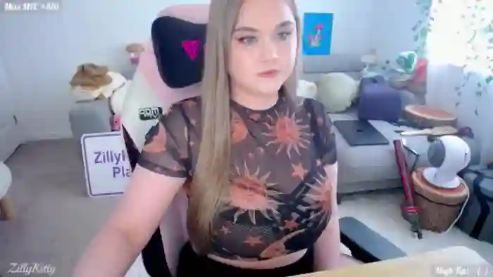 ZillyKitty