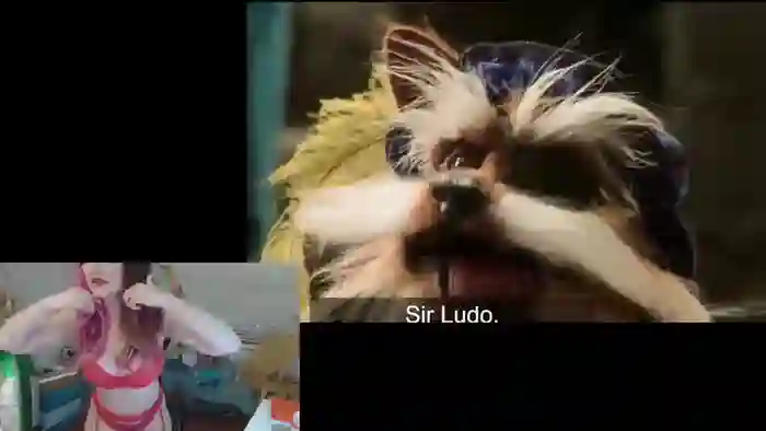 DahliaIsDopey