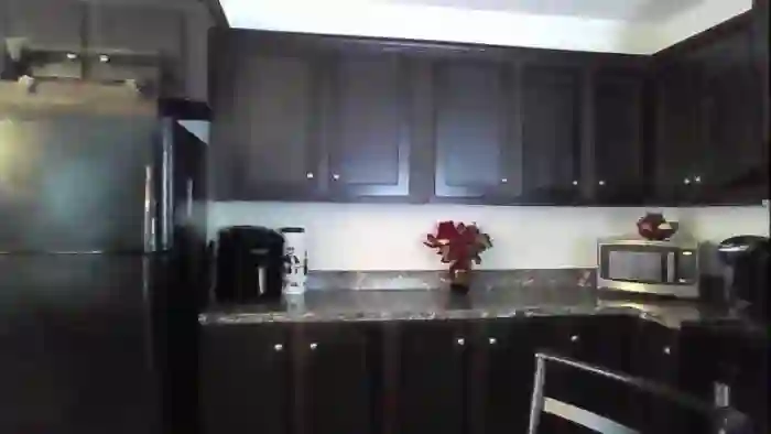 DaniBrasshole