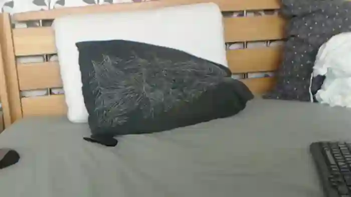 Kelywild