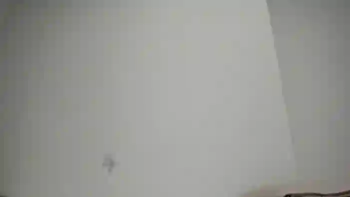 meganbelford1