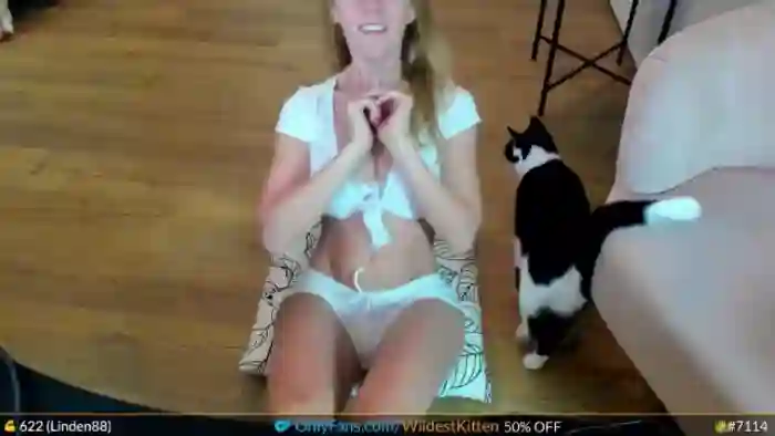 WildestKitten