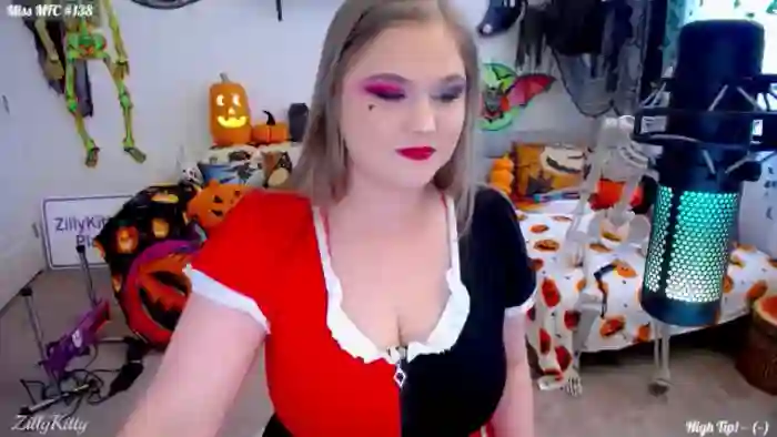 ZillyKitty