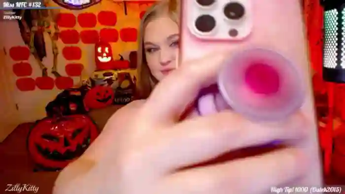 ZillyKitty