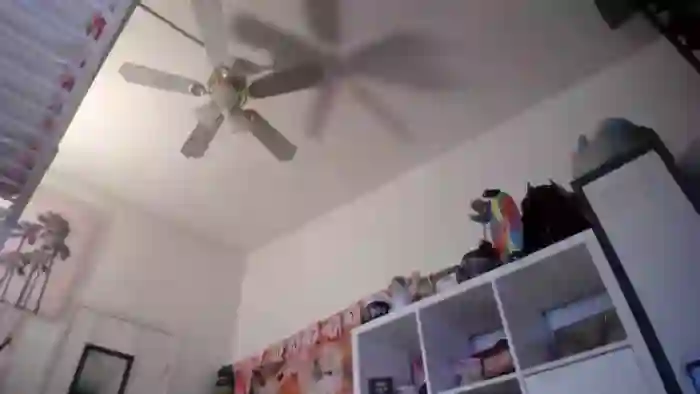 Dollfacedangr