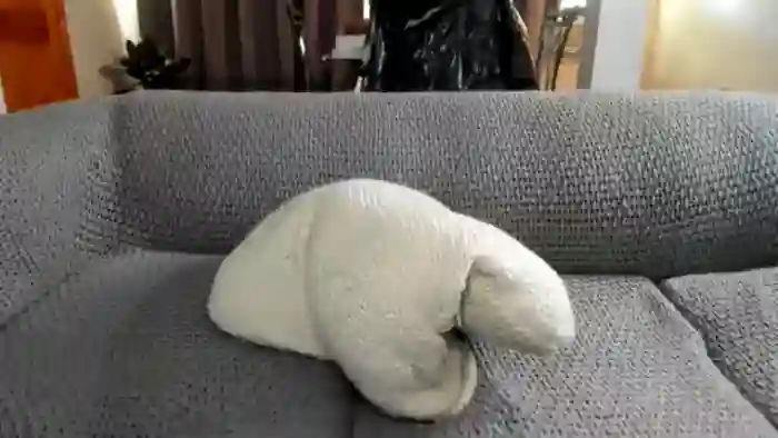 Saandruskaa