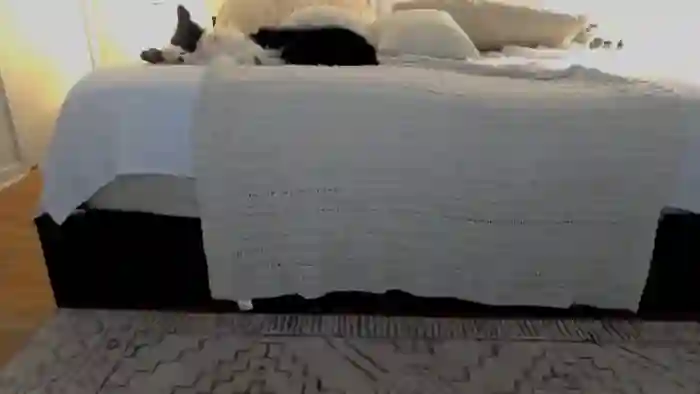 eh1_Scarlett
