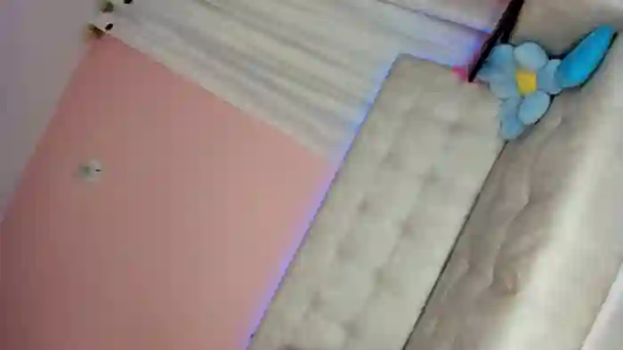 Tiny_Cora