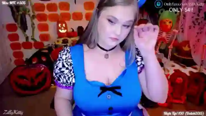 ZillyKitty