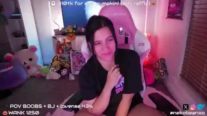 Nekobeanxo