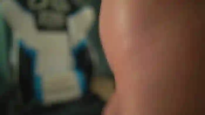 ssticate