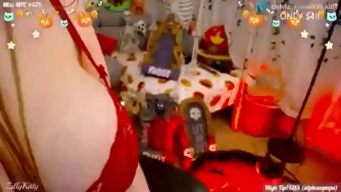 ZillyKitty