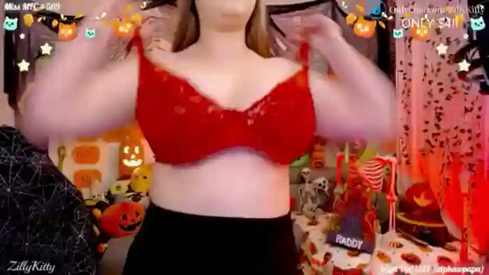 ZillyKitty