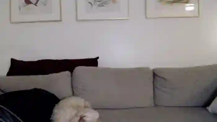 Lil_bunniii