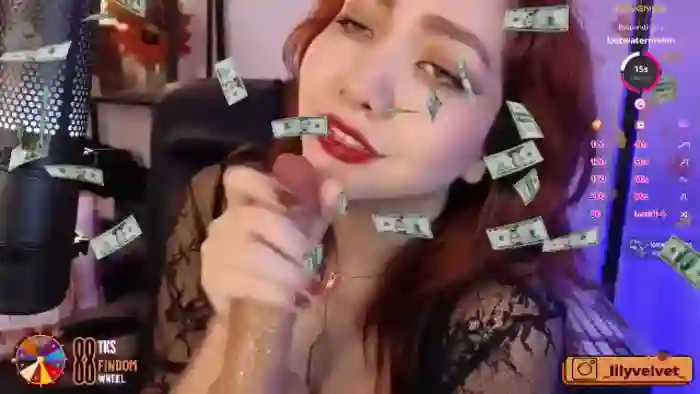 LilyVelvet