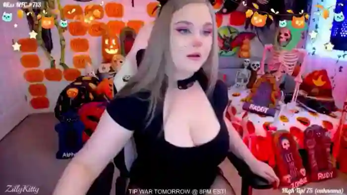 ZillyKitty