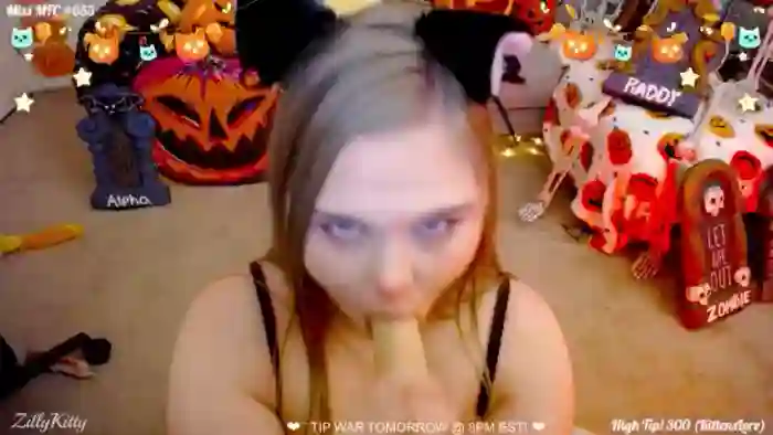 ZillyKitty